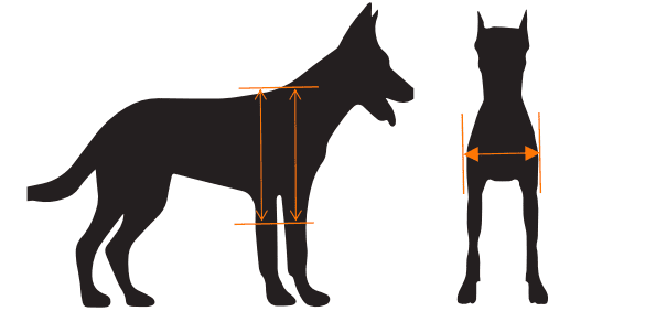 80016b85 df55 4f33 8c27 5a0ad05474b9 1 How do I measure my pet?