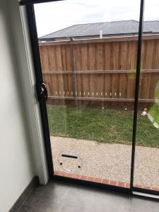 Pet Door