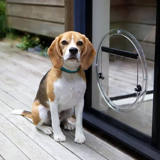 Copy of Transcat Dog outside In-Glass Pet Doors